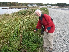 Ruth Bennett McDougal Dorrough; Seawall Road;