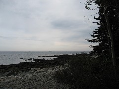 Acadia Seawall Road