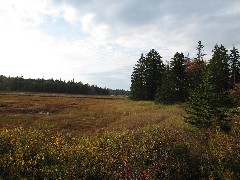 Acadia