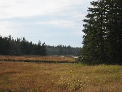 Acadia