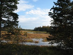 Acadia