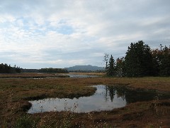 Acadia