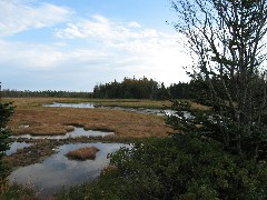 Acadia