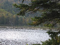 Acadia