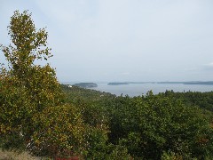 Acadia