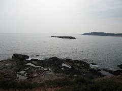 from Great Head Trail; Acadia