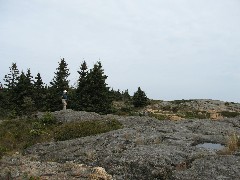 Ruth Bennett McDougal Dorrough; Great Head Trail; Acadia