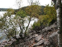 Flying Mountain Trail; Acadia
