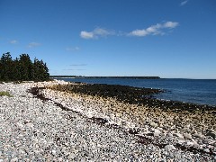 beach on Seawall Road near Acadia