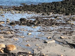 beach on Seawall Road near Acadia