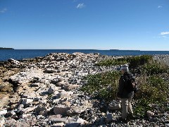 Ruth Bennett McDougal Dorrough; beach on Seawall Road near Acadia