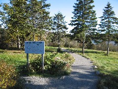Ship Harbor Nature Trail; Acadia