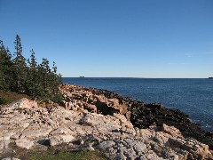 Ship Harbor Nature Trail; Acadia