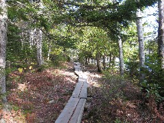 boardwalk Jordan pond Acadia