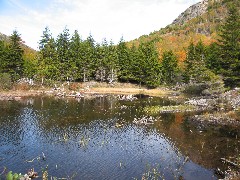 boardwalk Jordan pond Acadia