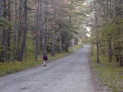 Friends Family Trips New England Hampshire
