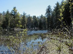 Family Trips New England Hampshire