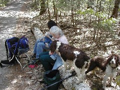 Kat Wheeler; Ruth Dorrough; Family Trips New England Hampshire Mac Wyatt dog