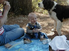 Kat Wheeler; Jacob Wheeler; Family Trips New England Hampshire Mac dog
