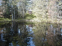 Trips New England Hampshire St Paul s School lake