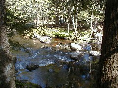Trips New England Hampshire Kat s land