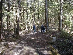 Trips New England Hampshire Kat s land