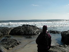 Ruth Dorrough; Trips New England Hampshire beach birds