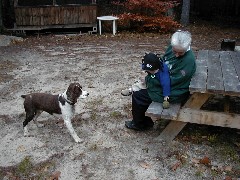 Wyatt dog; Jacob Wheeler; Ruth Dorrough; Kat s cabin; New England New Hampshire