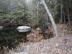 Trips New England Hampshire Kat s cabin pond