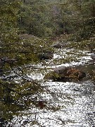 Friends Family Trips New England Hampshire PB