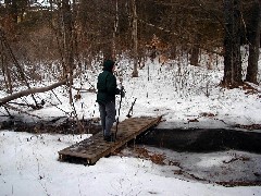 Ruth Dorrough; New Hampshire 2005-01;