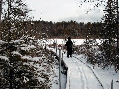 Ruth Dorrough; Mud Pond; Fox State Forest; New Hampshire 2005-01;