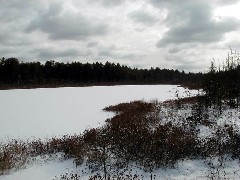 Mud Pond; Fox State Forest; New Hampshire
