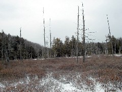 New Hampshire