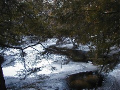 Kat s land near Cabin; New Hampshire