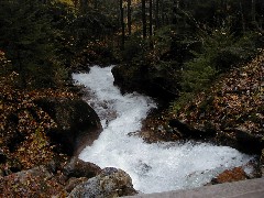 chipmunk The Flume Franconia Notch Hiking White Mountains New Hampshire