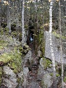 The Flume Franconia Notch Hiking White Mountains New Hampshire