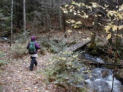 Ruth Dorrough; Fox state forest; Hillsborough NH New Hampshire