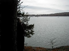 Yarmouth; New Hampshire; Wolfe s Neck State Park