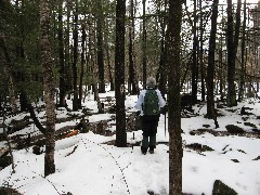 Ruth Dorrough; Fox State Forest; New Hampshire