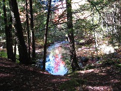 New Hampshire; Stream behind Kat and Chris s cabin