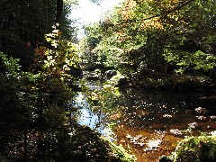 New Hampshire; Stream behind Kat and Chris s cabin