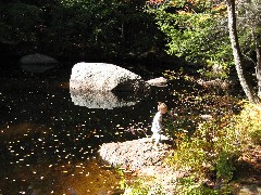 Jacob Wheeler; New Hampshire; Stream behind Kat and Chris s cabin