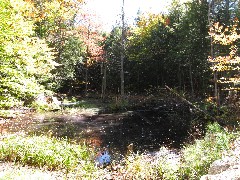 pond on Gleason Falls Road