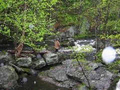 unknown fisherman near stone bridge on Beard Road