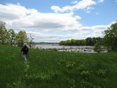 Ruth Dorrough; Lubberland Creek Preserve; Newmarket, NH