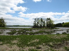 Lubberland Creek Preserve; Newmarket, NH