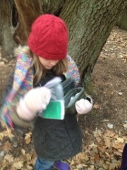Ellery Kate Wheeler; Geocache; Bradford Pines; Bradford NH