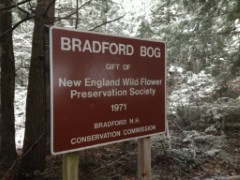 sign
Bradford Bog
gift of
New England Wild Flower Preservation Society
Bradford NH
Conservation Commission