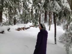 Ruth Dorrough; Bradford Tall Pines State Forest; Bradford NH